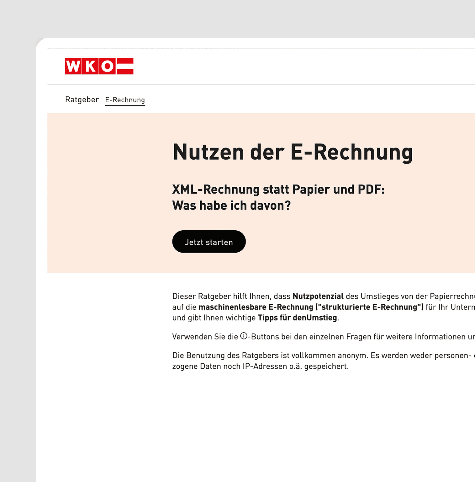 WKO e-invoice advisor in UNOY