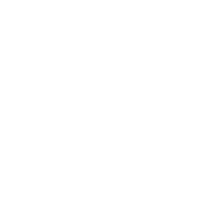 SKW Schwarz Logo